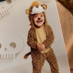 Cuddly Lion Costume